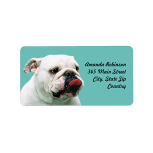 Étiquette Chien blanc mignon Bulldog