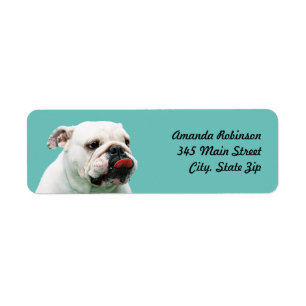 Étiquette Chien blanc mignon Bulldog