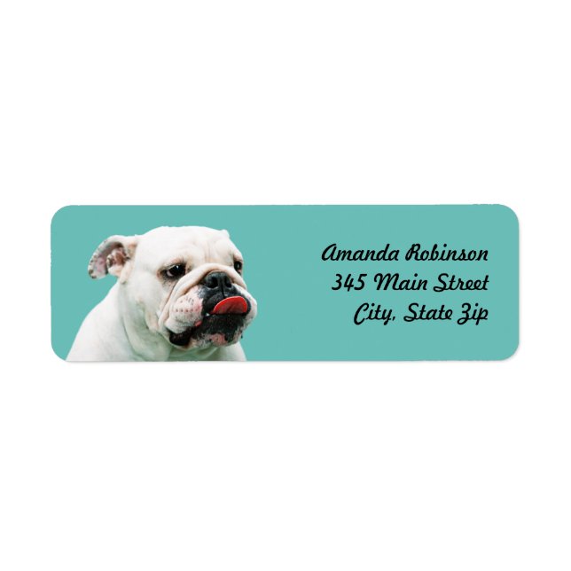 Étiquette Chien blanc mignon Bulldog (Devant)