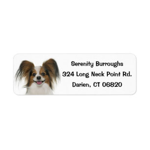 Étiquette Chien Brown et blanc de Papillon