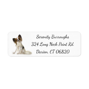 Étiquette Chien Brown et blanc de Papillon