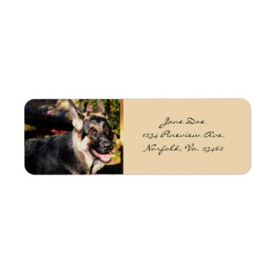 Étiquette Chien de berger allemand