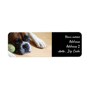 Étiquette Chien de boxeur