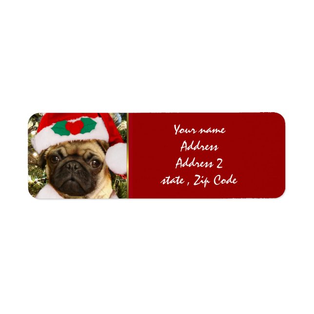 Étiquette chien de Carlin de Noël (Devant)