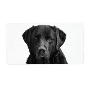 Étiquette Chien de chiot du Labrador noir