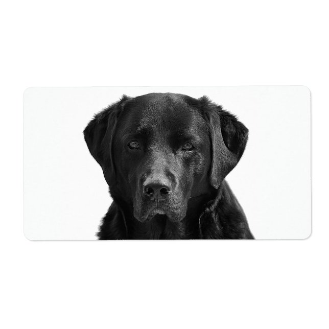 Étiquette Chien de chiot du Labrador noir (Devant)
