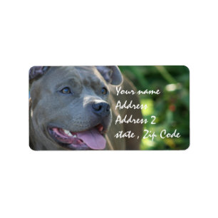Étiquette Chien de Pitbull