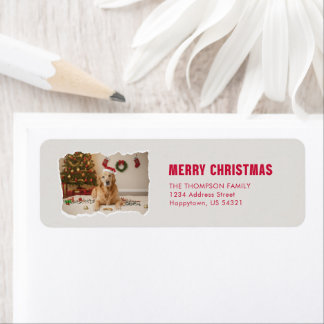 Étiquette Chien Golden Retriever Chapeau de Père Noël Photo