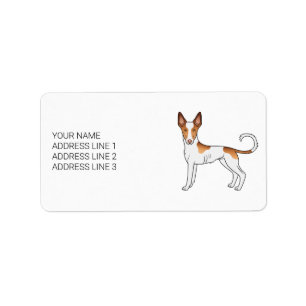 Étiquette Chien Ibizan Hound à poil lisse blanc et rouge ave