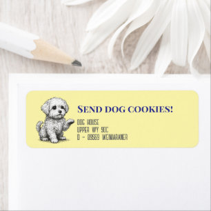 Étiquette Chien maltais 