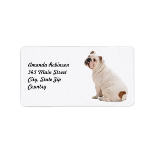 Étiquette Chien mignon blanc taureau