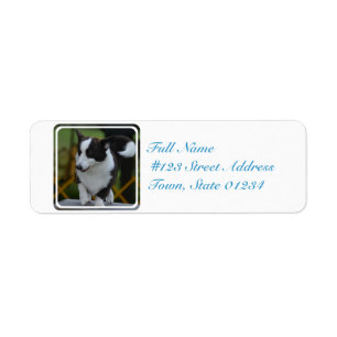 Étiquette Chien mignon de corgi de Pembroke