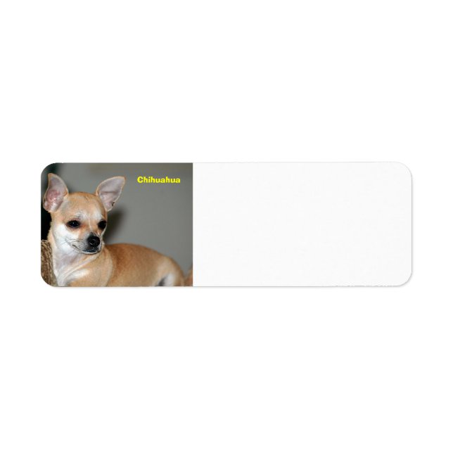 Étiquette Chihuahua (Devant)