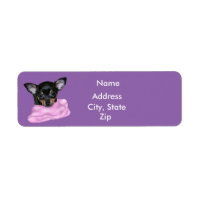 Chihuahua Noir et Tan Chihuahua