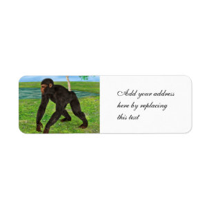 Étiquette Chimpanzé