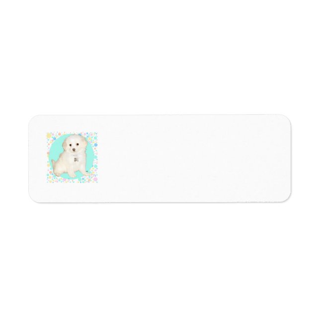 Étiquette Chiot croisé Caniche / Bichon célèbre la vie (Devant)