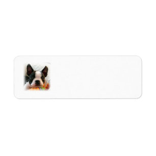 Étiquette Chiot de Boston Terrier