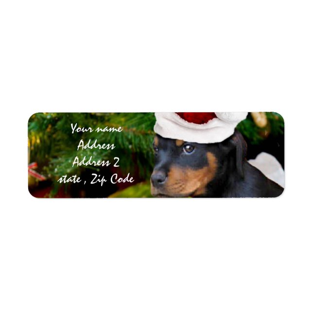 Étiquette Chiot de Noël Rottweiler (Devant)