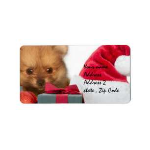 Étiquette Chiot de Pomeranian de Noël