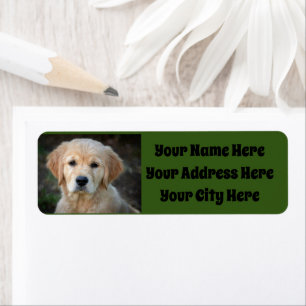 Étiquette Chiot Golden Retriever