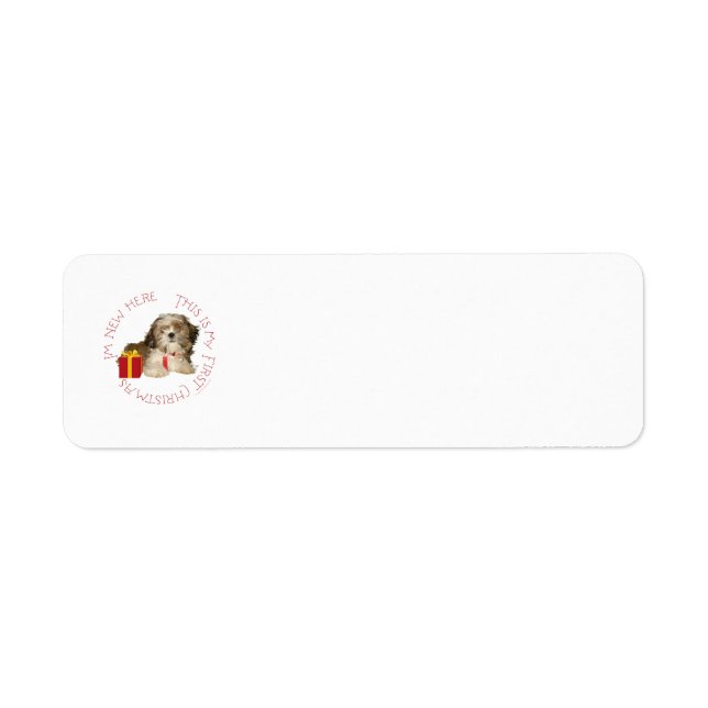 Étiquette Chiots Shih Tzu Premier Noël (Devant)