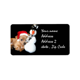 Étiquette Chiwawa de Noël