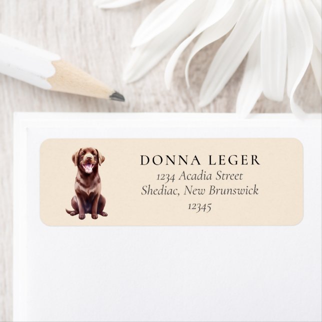 Étiquette Chocolat Labrador Dog Adresse (En situation)
