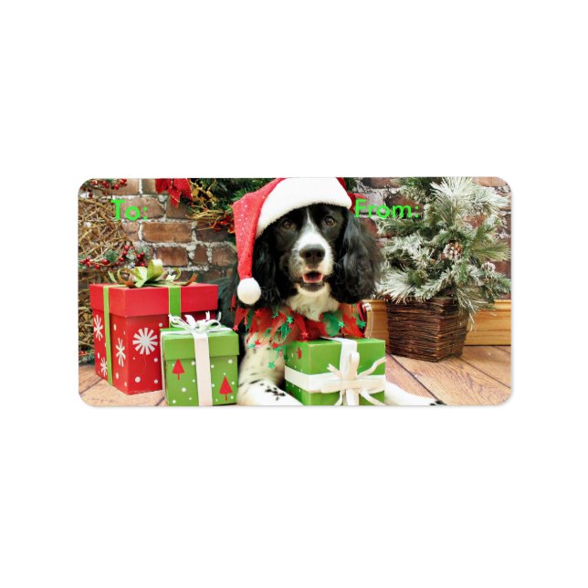 Étiquette Christmas - English Springer Espagne - Lucy (Devant)