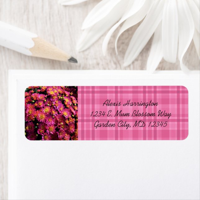 Étiquette Chrysanthèmes / Plaid / Magenta / (En situation)