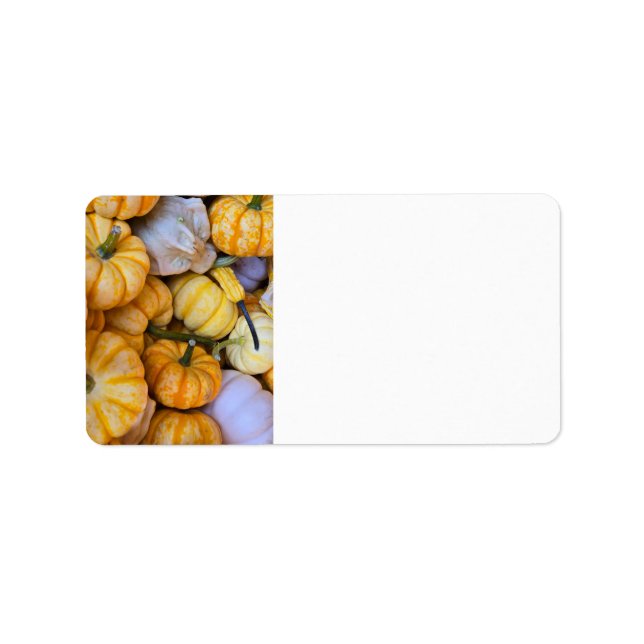 Étiquette Citrouilles et gourdes (Devant)