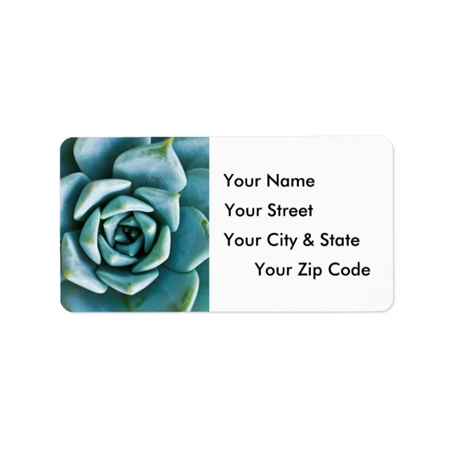 Étiquette Closeup Succulent (Devant)