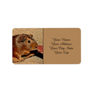 Étiquette Cobaye de regard de Corkboard