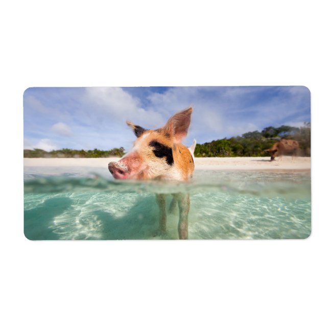 Étiquette Cochon de natation d'Exuma (Devant)
