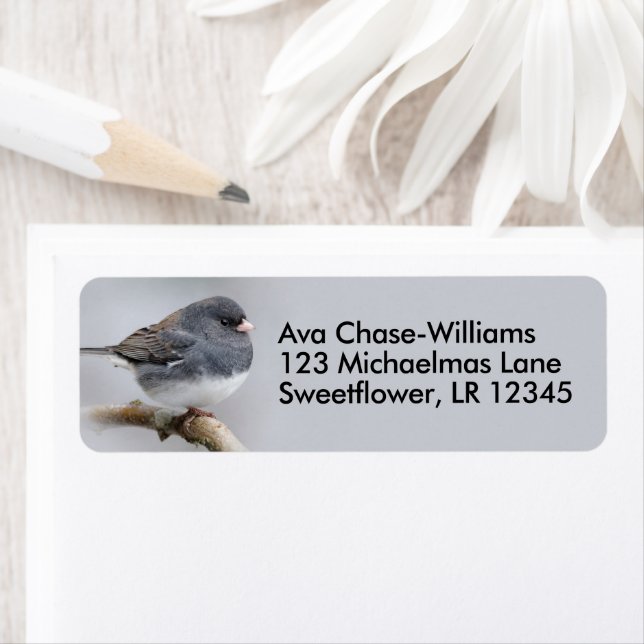 Étiquette Colibri à sourcils foncés sur poirier (En situation)