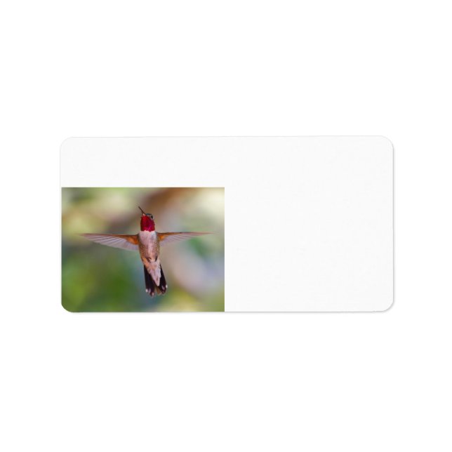 Étiquette colibri en vol (Devant)