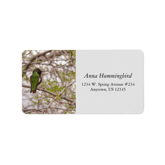Étiquette Colibri sur branche Printemps Heure Couleurs verte (Devant)