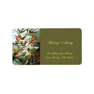 Étiquette Colibris par Ernst Haeckel