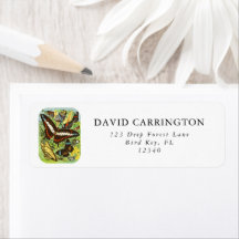 Collection de papillons colorés Vintages Boho