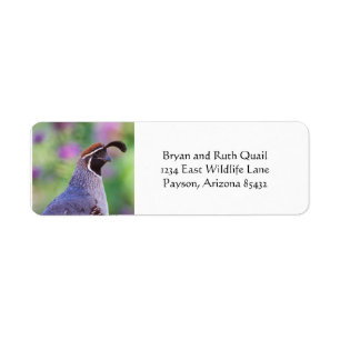 Étiquette Colorful quail