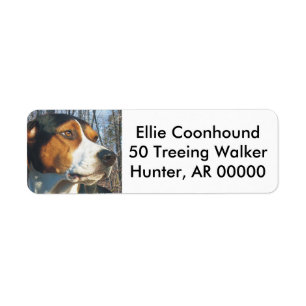Étiquette Coonhound de marcheur de Treeing