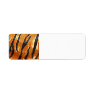 Étiquette Copie de rayures de tigre de safari
