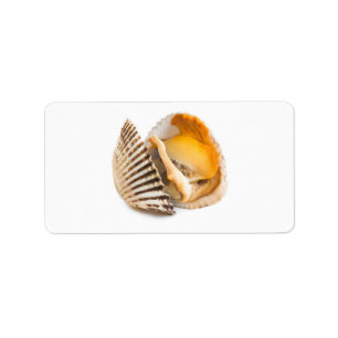 Étiquette Coquille