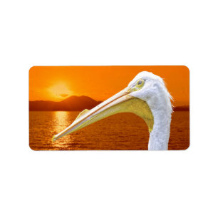 Étiquette Coucher de soleil américain de Pélican blanc à Cor