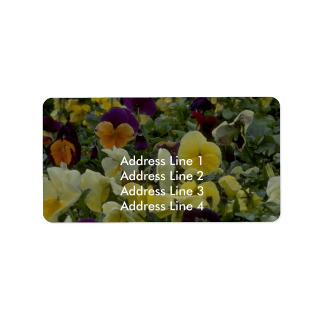 Étiquette Couleurs très petites (Devant)