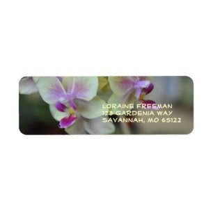 Étiquette crème et rose d'orchidée