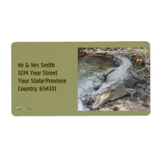 Étiquette Crocodile jamaïcain d'eau salée