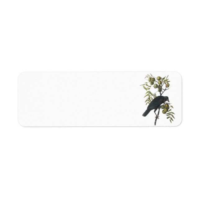Étiquette Crow américain par Audubon (Devant)