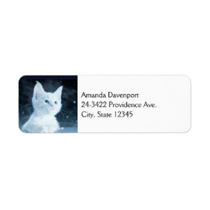 Étiquette Cuite Kitten blanc avec de beaux yeux bleus