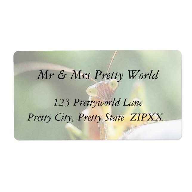 Étiquette Curieux Mantis de prière (Devant)