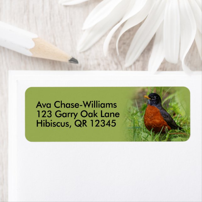 Étiquette Curieux oiseau-chanteur américain Robin dans l'her (En situation)
